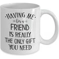 thumbnail image 2 of Best Friend Mug Having Me for A Friend Is Really The Only Gift You Need Funny Birthday Christmas Ideas for Bestie Bff Soul Sister Stocking Stuffer 11, 2 of 2