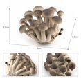 thumbnail image 4 of Paokuoon Mushroom Figure Colorful Mushroom Figure Mini Landscape Decor Ornament Fadeless Simulation Mushroom, 4 of 7