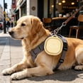 thumbnail image 4 of Collapsible Silicone Slow Feeder Bowl for Dogs Cats, Portable Foldable Travel Food Water Bowl with Slow Eating Design, Anti-Choke for Outdoor Hiking, 4 of 6