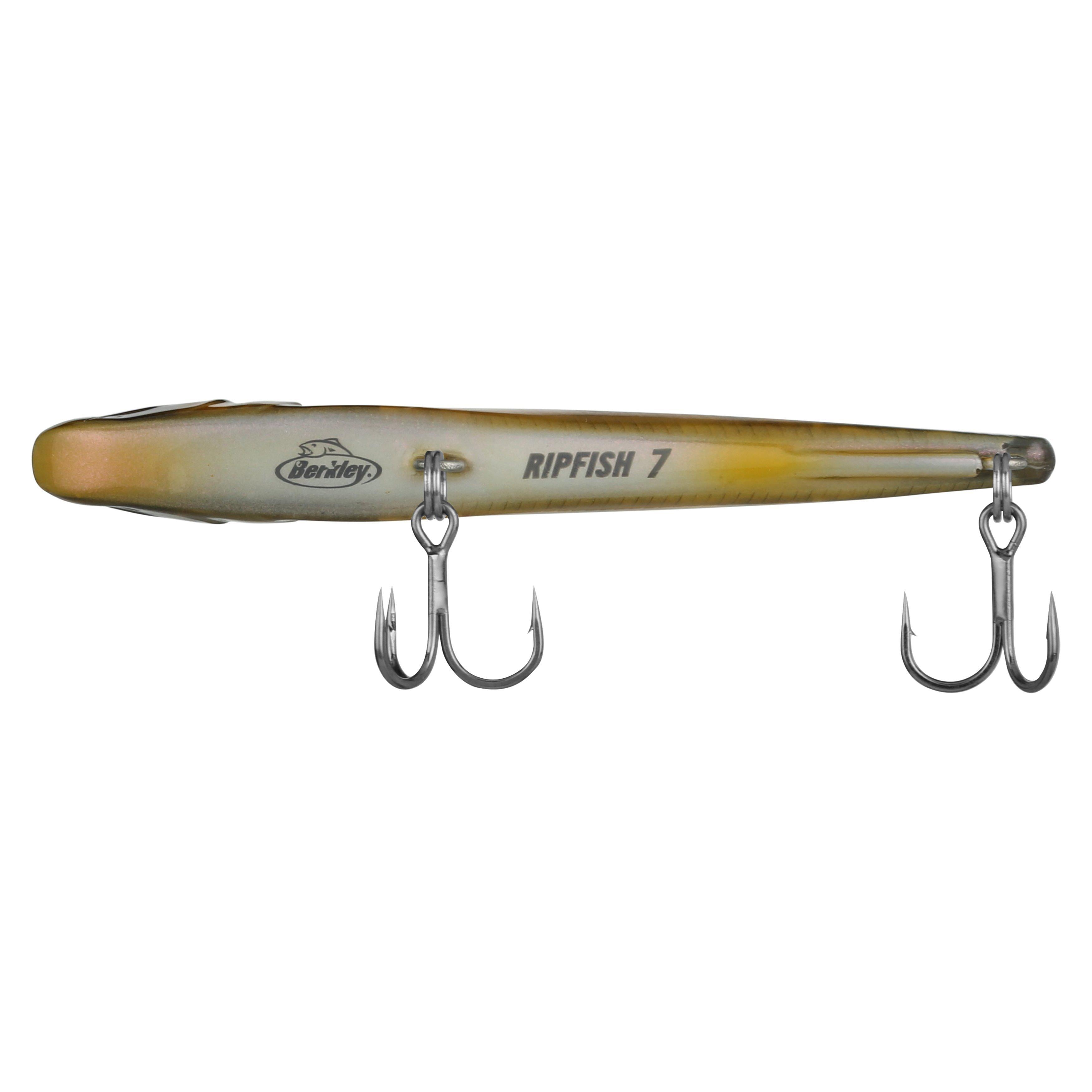 Berkley Ripfish, 7, Perch
