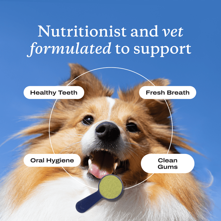 Free Shipping! Petlab ProBright Dog Dental Powder for Medium Dogs