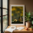 thumbnail image 6 of Golden Hour Squirrel - Photography Wildlife Nature Autumn Woodland Animal Scenic Oak Framed Wall Art Print 16 x 24 inches, 6 of 59