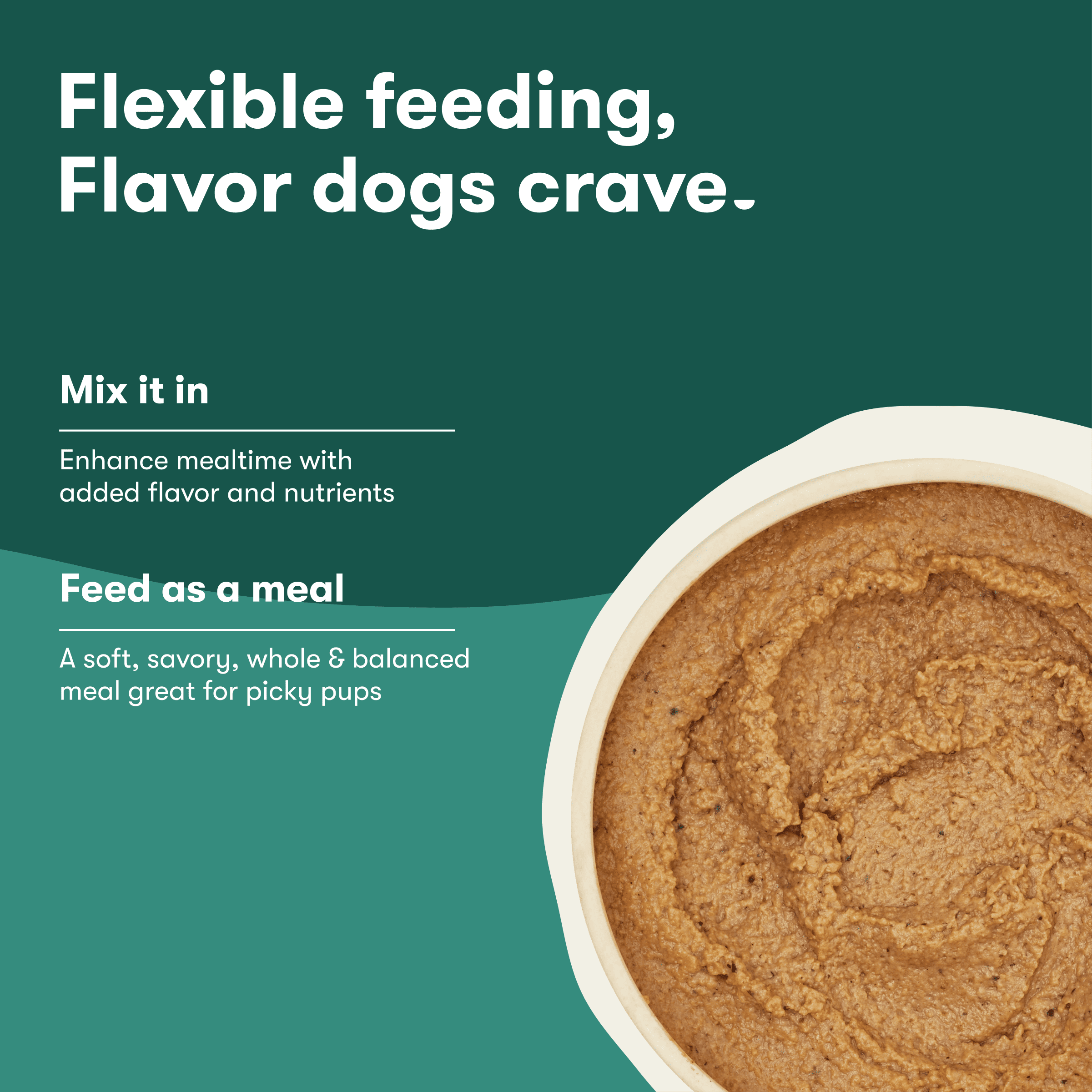 (6 pack) Jinx Pate with Chicken & Vegetables Natural Wet Dog Food, Grain Free, 13 oz Can
