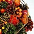 thumbnail image 3 of 14.75" Autumn Harvest Apples, Berries and Pine Cones Thanksgiving Wreath - Unlit, 3 of 3
