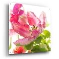 thumbnail image 2 of Epic Art ' Parrot Tulip One' by Judy Stalus, Acrylic Glass Wall Art, 36"x36", 2 of 8