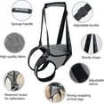 thumbnail image 3 of Cabestrillo para perros grandes, soporte para las patas traseras para ayudar a rehabilitar las extremidades traseras de perros ancianos con discapacidades débiles en las patas traseras, 3 of 5
