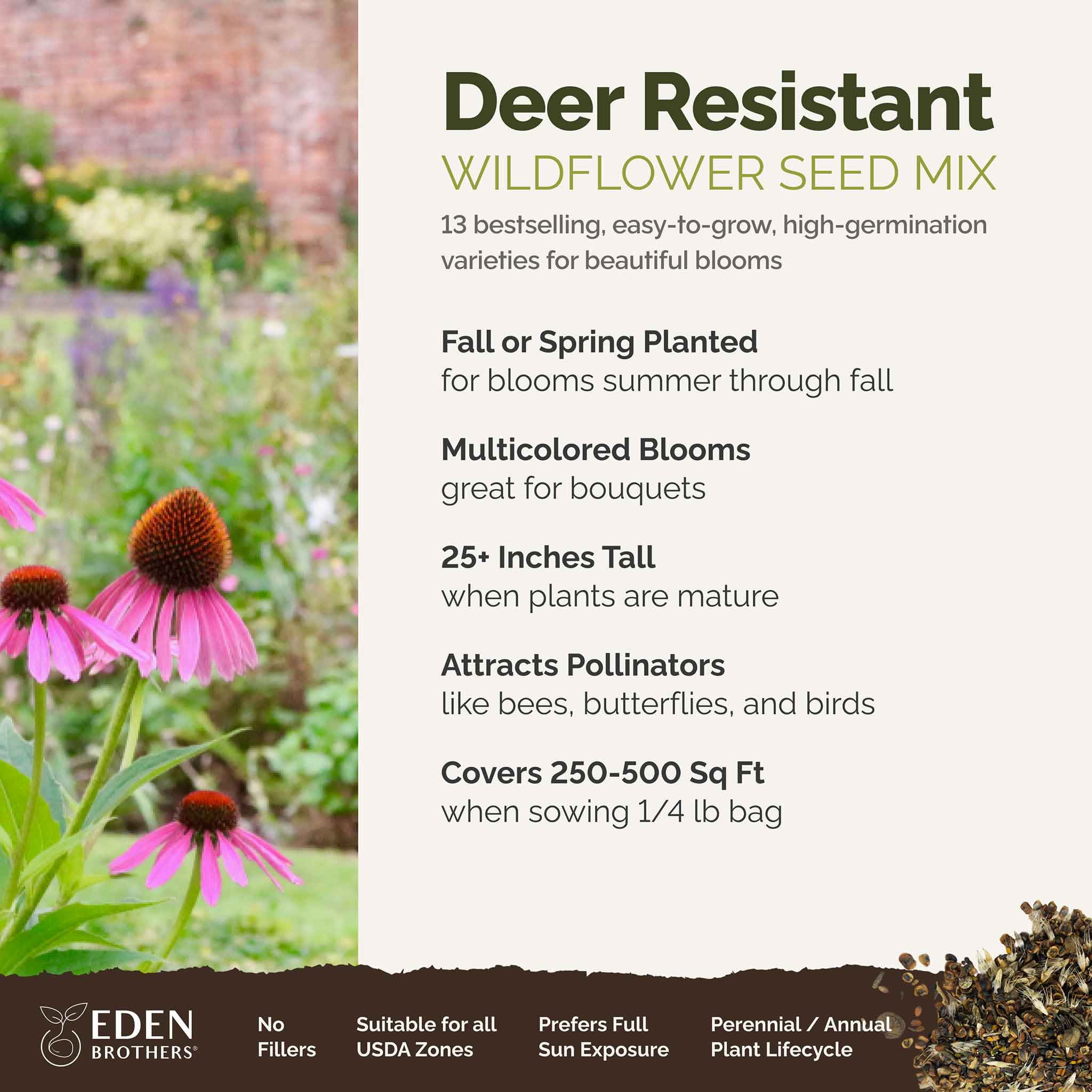 Partial Shade Wildflower Seed Mix | High Country Gardens