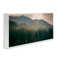thumbnail image 3 of Stupell Industries Morning Sun over Misty Trees Landscape Photography White Framed Art Print Wall Art, 30 x 13, 3 of 9