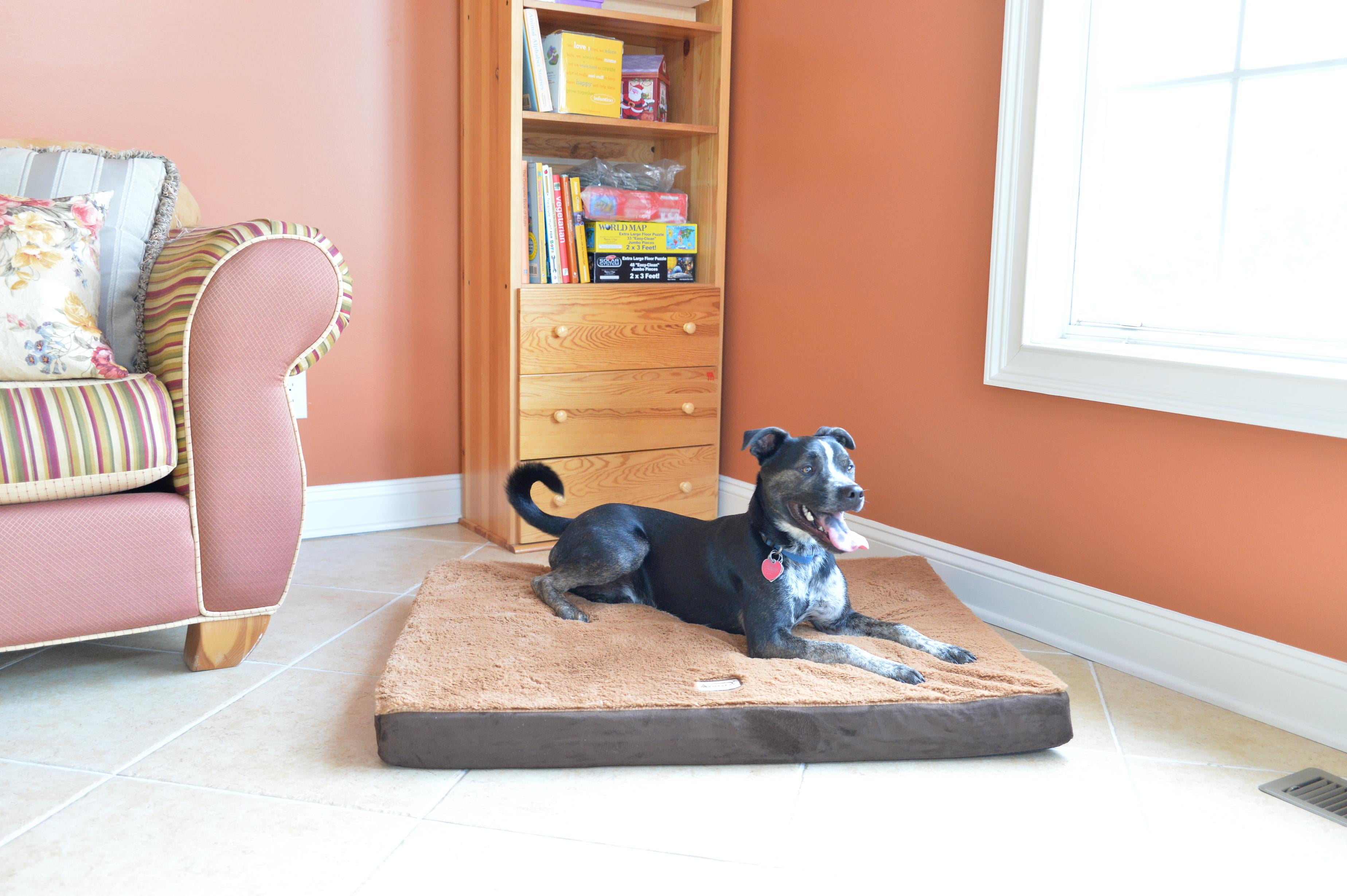 MEDIUM MEMORY FOAM DOG MAT M06HKF/ZSM