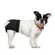 thumbnail image 4 of Pañales reutilizables para mascotas - Hebilla ajustable, algodón lavable y capa impermeable, para perros pequeños y cachorros, 4 of 7