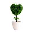 thumbnail image 1 of LUXLEVO Heart Shaped Bonsai Mini Potted for Home Desk White Small Ornamental Tabletop Flowers, 1 of 6