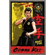 Cobra Kai - Miguel Wall Poster, 14.725" x 22.375", Framed