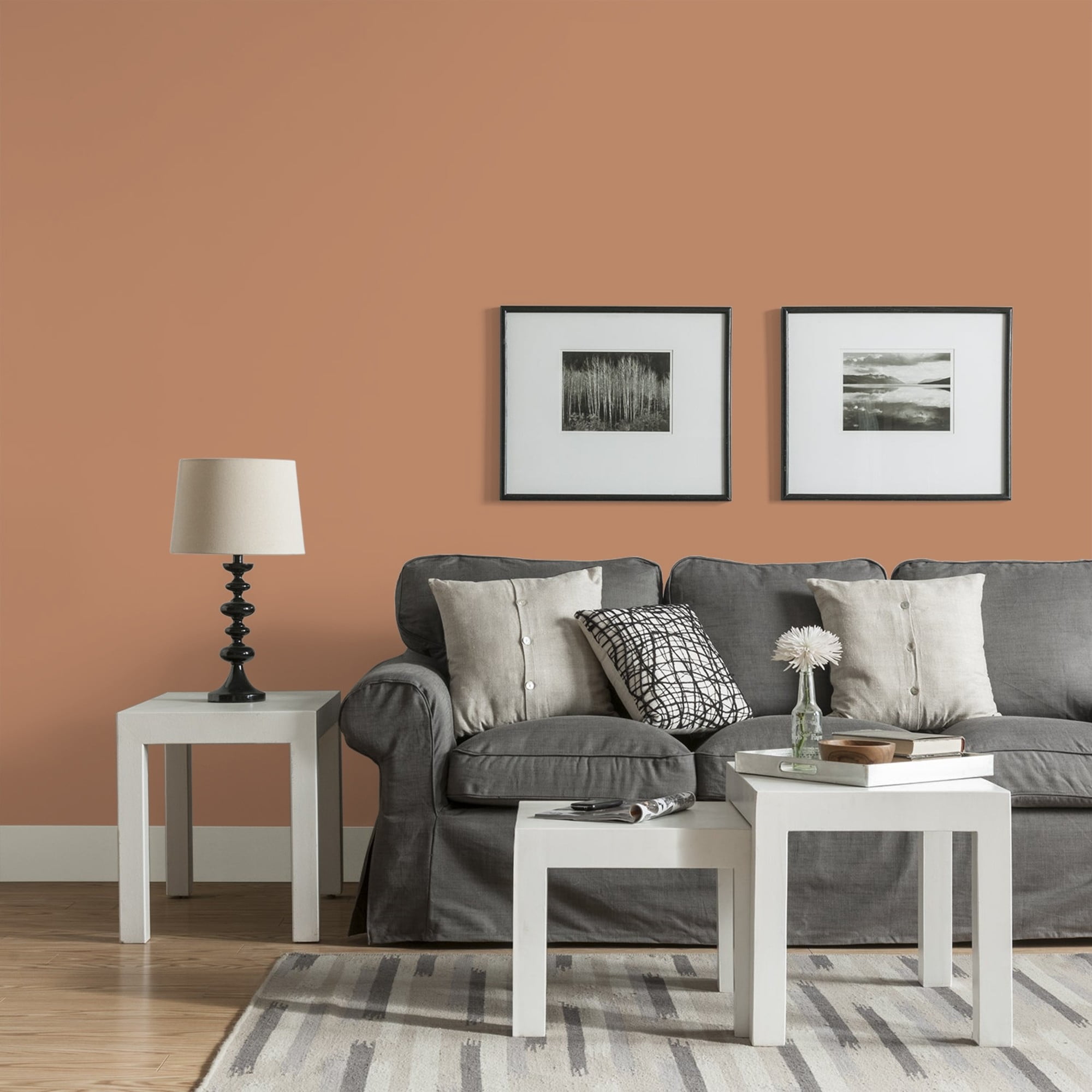 Glidden One Coat Honey Graham / Orange Eggshell Interior Paint with Primer, 1 Gallon