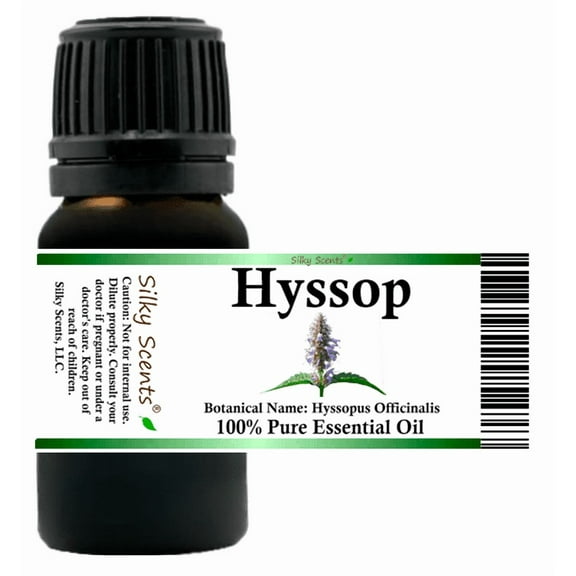 Hyssop Essential Oil 5 ml (1/6 fl oz) - 100% Pure and Natural by Silky Scents