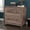 Washed Walnut, variant on Sauder Edge Water 2-Drawer File Cabinet, Black Finish