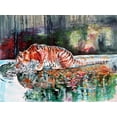 thumbnail image 2 of Kovacs, Anna Brigite 18x15 White Modern Wood Framed Museum Art Print Titled - Tiger Drinking, 2 of 4