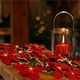 thumbnail image 3 of Luces De Nochebuena, Adornos De Flores De Navidad, Guirnalda De Luces, Adornos Artificiales De Árbol De Navidad Para Decoración De Fiesta De Vacaciones Monstrate HA039324-00, 3 of 6