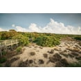 thumbnail image 2 of Mead, Adam 18x13 White Modern Wood Framed Museum Art Print Titled - First Landing Dunes I, 2 of 4