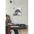 thumbnail image 3 of Epic Graffiti 'Bay Horse 4' by Irena Orlov, Canvas Wall Art, 12"x12", 3 of 3