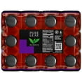thumbnail image 4 of Pure Leaf Extra Sweet Iced Tea, Bottled Tea Drink, 16.9 fl oz, 12 Pack Bottles, 4 of 6