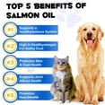 thumbnail image 4 of Oimmal Omega-3 for Dogs and Cats, Salmon Fish Oil for Dog & Cat, 250ml / 8.8 fl.oz Bottle, 4 of 11