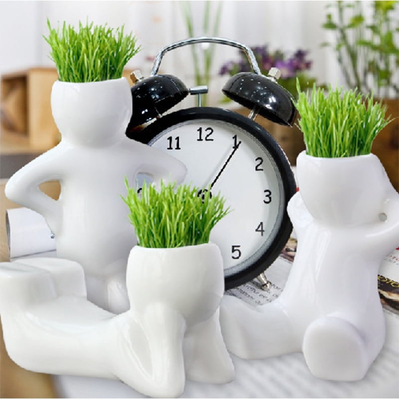 Details about   DIY Mini Novel Ceramic Porcelain Bonsai Grass Doll Hair Man Plant White HNWU.gu