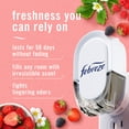 thumbnail image 5 of Febreze Plug In Air Freshener, Odor-Fighting Scented Oil Refill, Berry & Bramble, (4 Pack of 1 Refill), 5 of 5