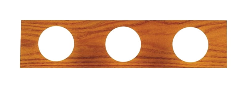 Westinghouse Lighting 3 Light Bathroom Vanity Light (Set of 2)