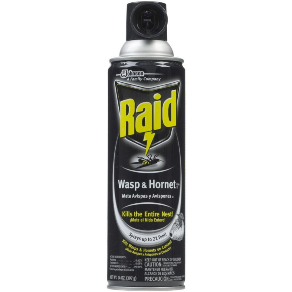 Raid Wasp & Killer Spray 14 oz