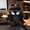 PLUSH, variant on Noir Figure Doll Hero  Toys Gift Collection Funny Soft Toys Collection Home Decoration Desktop Ornament as Birthday Gifts