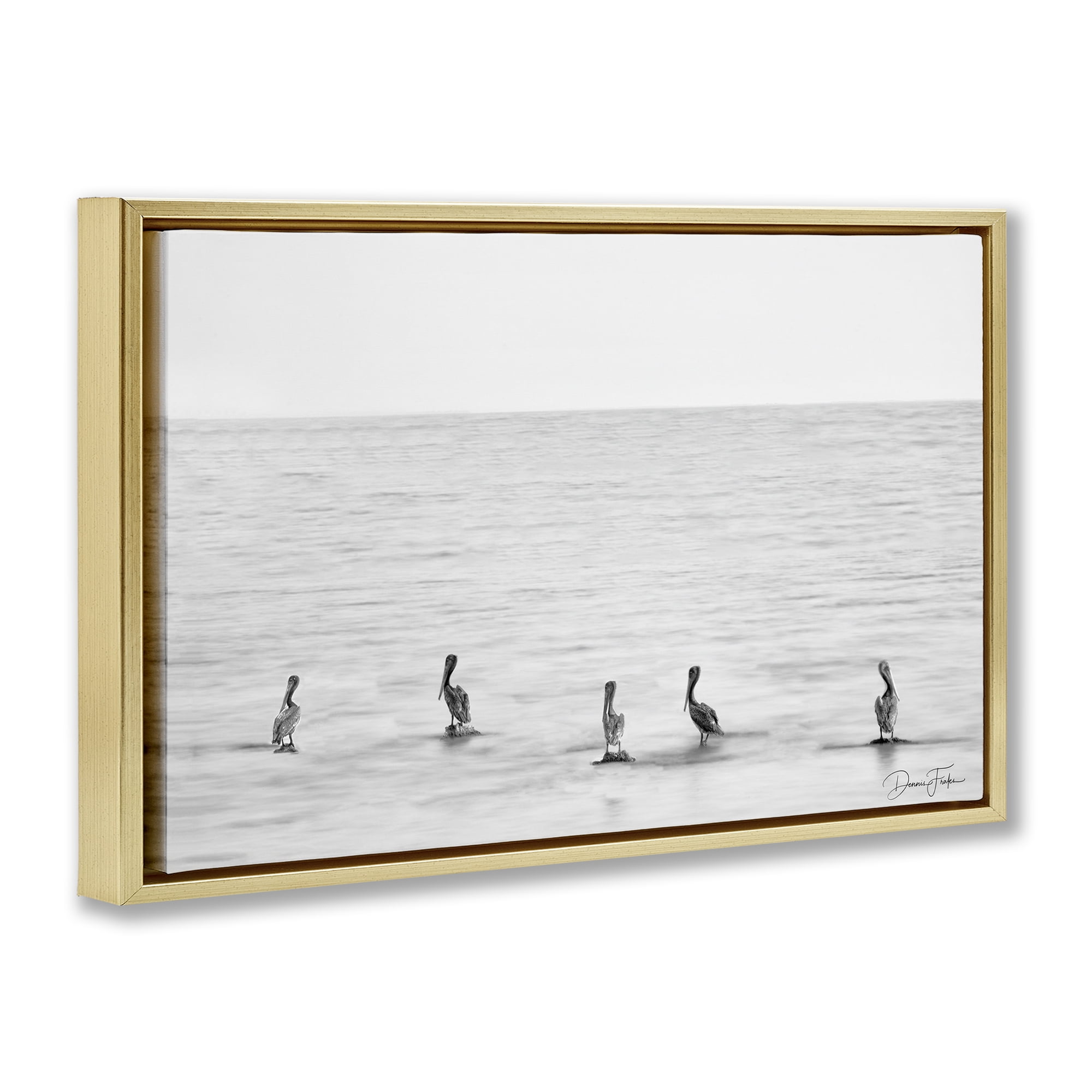 Stupell Industries Pelicans on Shore Landscape Photography Gold Floater Framed Canvas Art Print Wall Art, 31 x 21