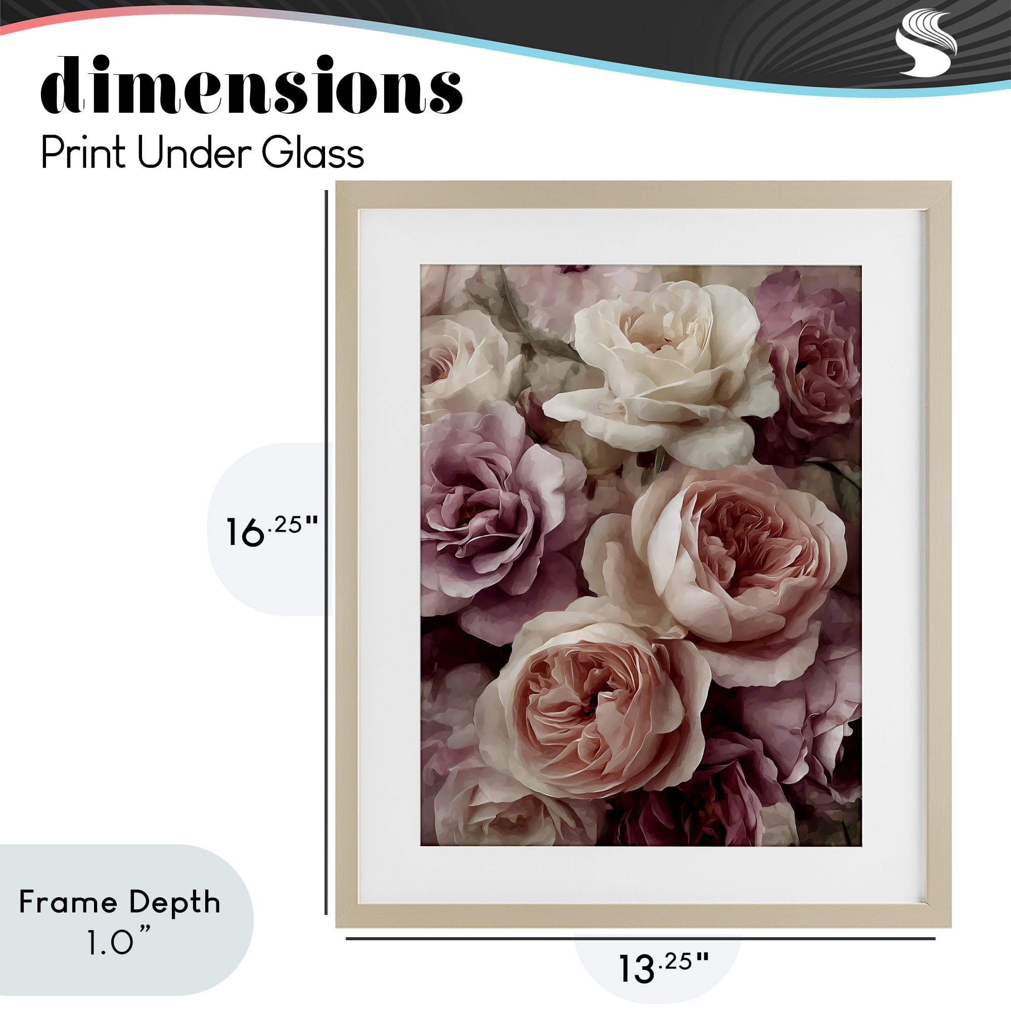 Stupell Industries Sweet Roses in Blush Pink Birch Framed Print Under Glass, design by Franklyn Gregory