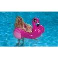 thumbnail image 3 of Poolmaster Flamingo Baby Rider, 3 of 4