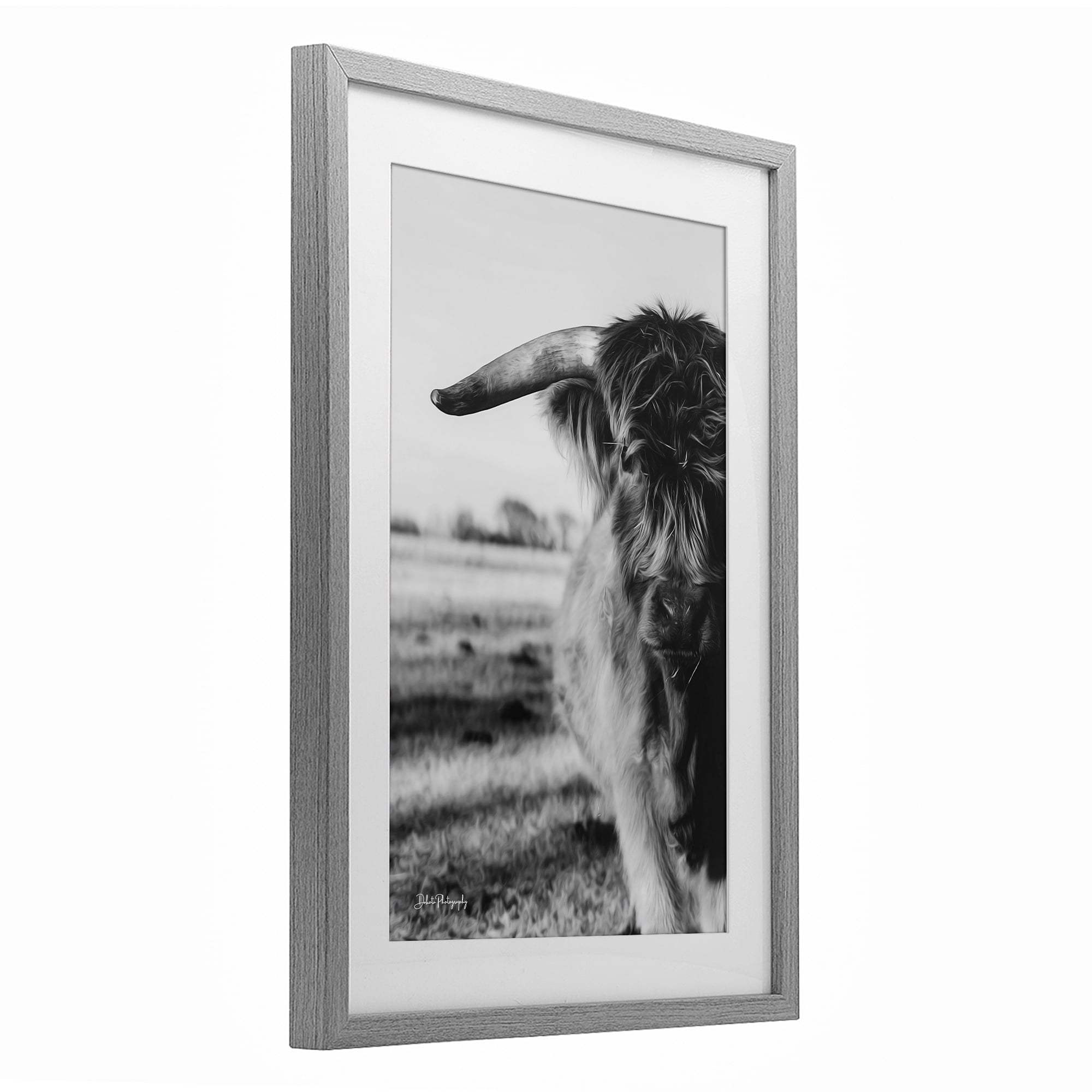 Stupell Industries Baby Cattle in Monochrome Gray Framed Print Under Glass, design by Dakota Diener