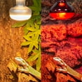 thumbnail image 5 of ECOSUB Dual Reptile Light Fixture Combo Pack, With 100W UVA Daylight and Infrared Heating Lamp, 5 of 9