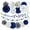 Navy Blue White Slive Class, variant on 2025 Blue Class-Congratulations Prom Graduation Party-Decorations - 22pcs High School College Grad Supplies Decor,Royal Navy White Silver Tissue Pom Poms Streamers, Paper Flowers