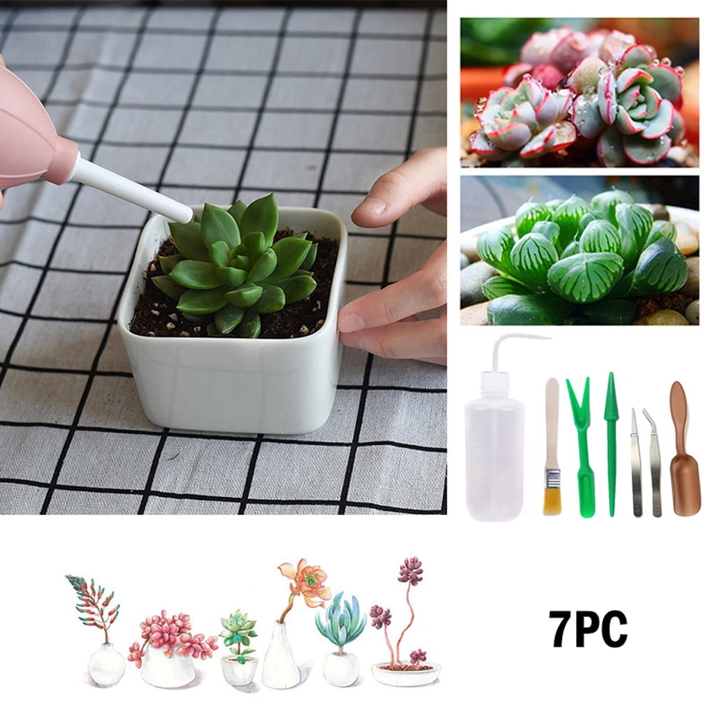 7pcs Succulent Transplanting Miniature  Garden Planting Gardening Hand Tools Set 