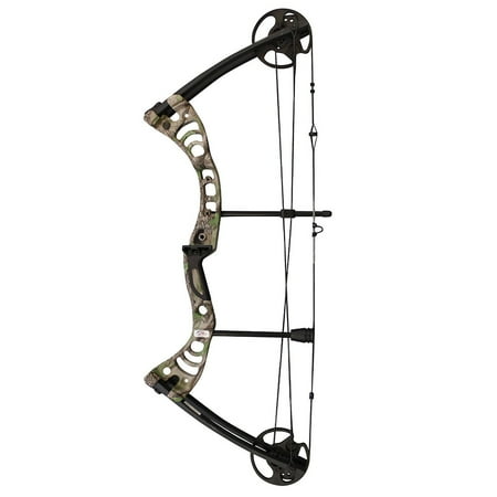 SAS Scorpii 30-55 Lb 19-29 Archery Compound Bow 290 FPS Hunting Target