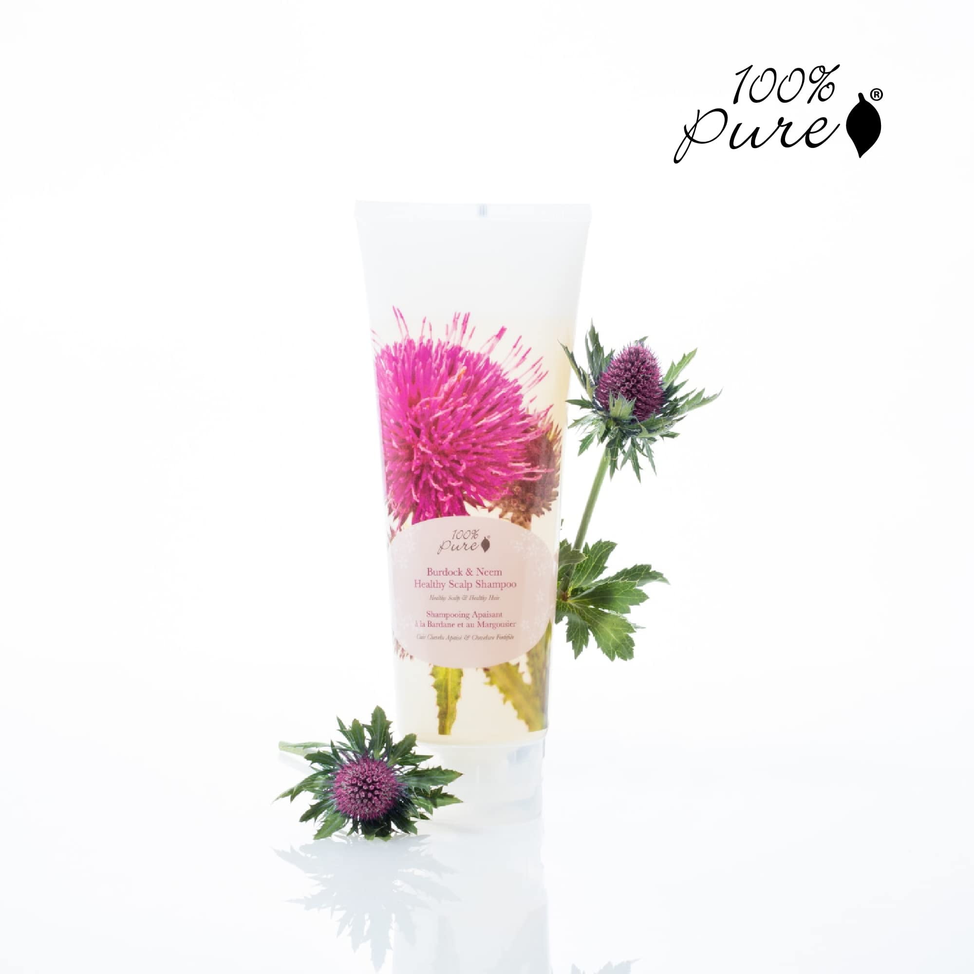 100% PURE Burdock & Neem Healthy Scalp Clarifying Shampoo Moisturizing Detox with Rose Hydrosol Replenishing Cleanser for Dry, Itchy, Flaky Scalp for Women & Men - 8 Fl Oz