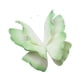 thumbnail image 1 of Adorno de mariposa artificial Macarena para decoración de bodas 60 cm Verde, 1 of 8