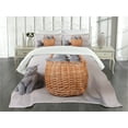 thumbnail image 3 of Ambesonne Kitten Quilted Bedspread Set 3 Pcs, British Cats in Basket, Queen Size, Pale Brown Grey Dust, 3 of 5