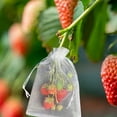 thumbnail image 6 of 50Pcs Fruit Netting Bags Drawstring Mesh Barrier for Garden Vegetables Trees Tomatoes Cover, 6 of 6