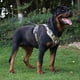 thumbnail image 5 of Correa para el pecho para perros grandes tipo chaleco, cuerda a prueba de explosiones, cuerda de tracción reflectante para perros, 5 of 5