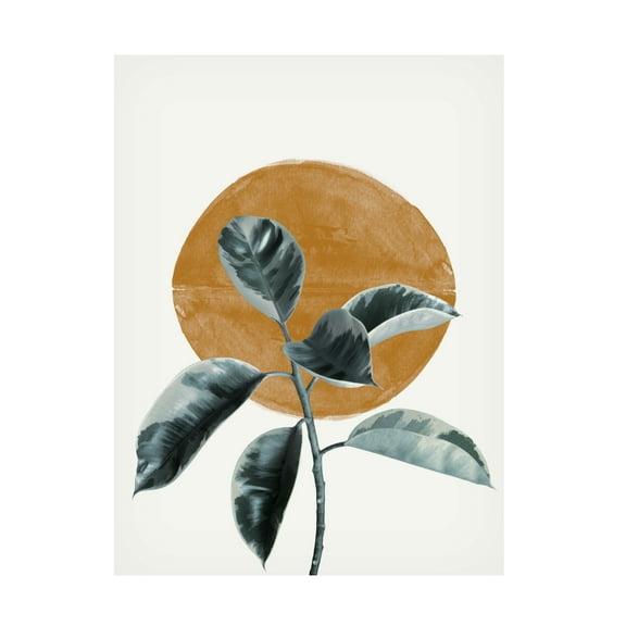 Trademark Fine Art THE MIUUS STUDIO Sun and Ficus Canvas Wall Art