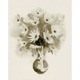thumbnail image 2 of Popp, Grace 20x24 White Modern Wood Framed Museum Art Print Titled - Daisy Bouquet Sketch IV, 2 of 4