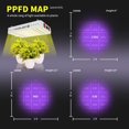 thumbnail image 4 of Grow Light KingLED KP2000 de espectro completo de 200 W para 90 x 90 cm, 4 of 6