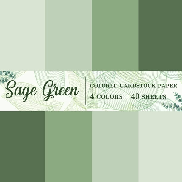 Papel Cartulina 40 Hojas 216gsm 21,6 x 27,9 cm Verde Salvia