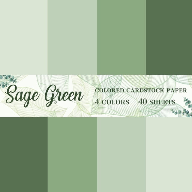 papel cartulina 40 hojas 216gsm 21,6 x 27,9 cm verde salvia, cuatro paneles verticales que muestran degradados de verde salvia de claro a oscuro y banda central con texto 'Sage Green' y '4 colors 40 sheets' sobre fondo botánico; presentación apaisada, ideal para manualidades y papelería, paquete internacional según especificaciones.