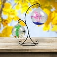 thumbnail image 6 of GadgetVLot Random color transparent glass small fish tank wrought iron hanging gold fish tank, 6 of 12