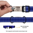 thumbnail image 4 of Etiquetas Slide On Pet Tag ID Silent personalizadas para perros y gatos, 4 of 9